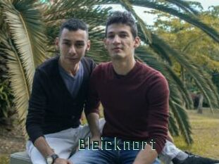 Bleicknort