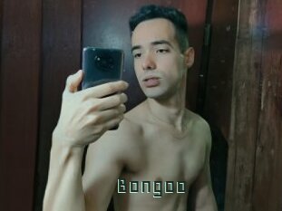 Bongoo