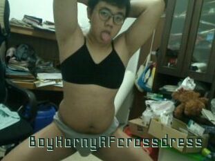 BoyHornyAFcrossdress