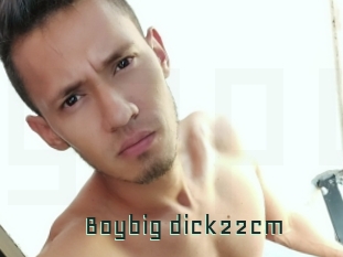 Boybig_dick22cm