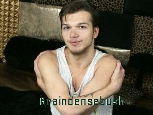 Braindensebush