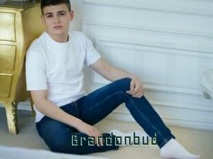 Brandonbud