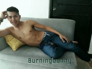 Burningbunny