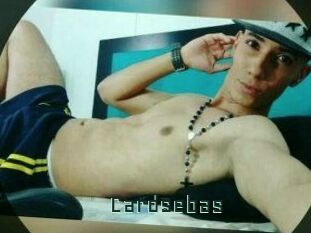 Cardsebas