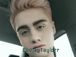 CeeJayTaylorr