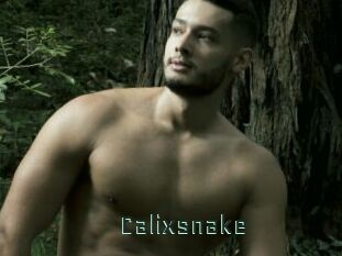 Calixsnake