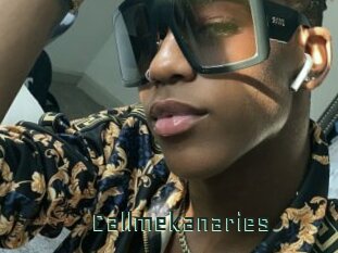 Callmekanaries