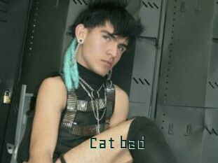 Cat_bad