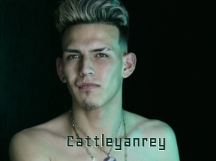 cattleyanrey Gay Porn
