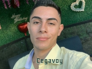 Cegavoy