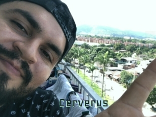 Cerverus