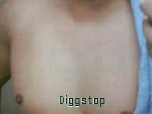 Diggstop