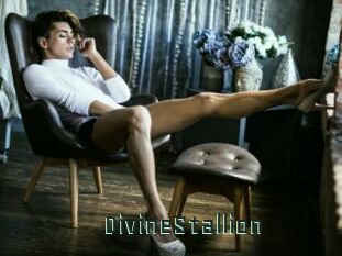 DivineStallion