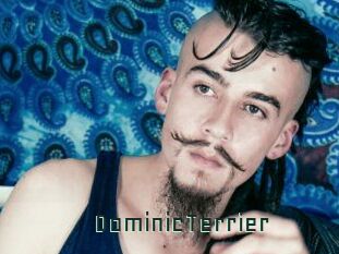 DominicTerrier