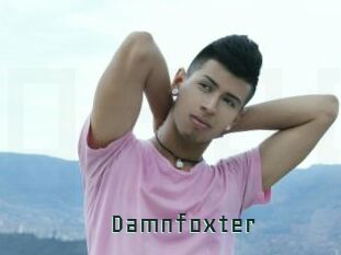 damnfoxter Gay Porn