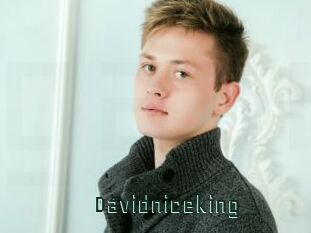 Davidniceking