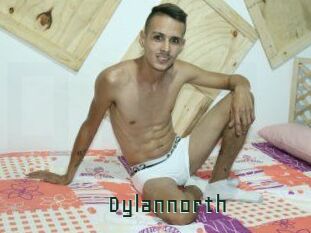 Dylan_north