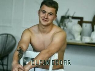 ELFIN_CEDAR