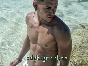 Eddbigcock97