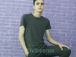 Eivinaaron