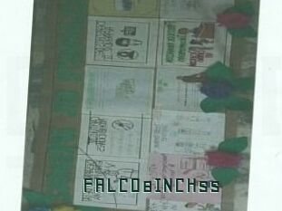FALCO8INCHss