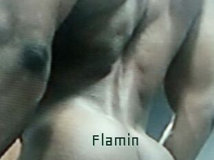 Flamin