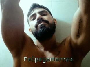 Felipegamarraa