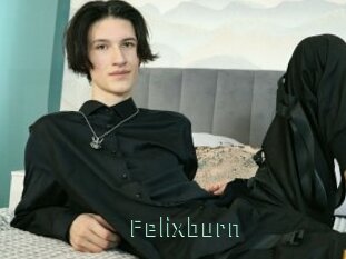 Felixburn