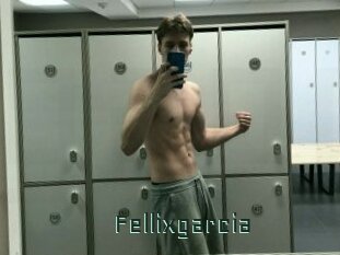 Fellixgarcia