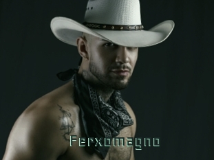 ferxomagno Gay Porn