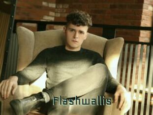 Flashwallis