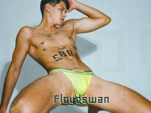 Floydswan