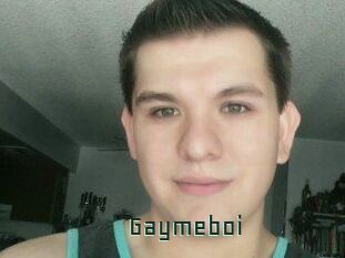 Gaymeboi