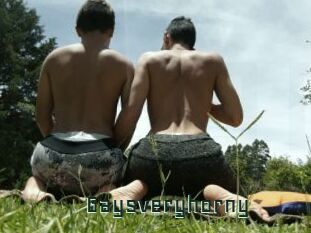 Gaysveryhorny
