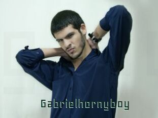 Gabrielhornyboy