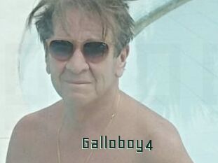 Galloboy4