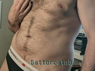 gattorcatnb Gay Porn