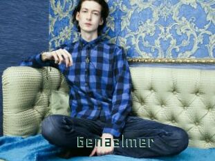 Genaalmer