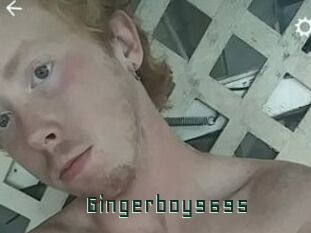 Gingerboy9695