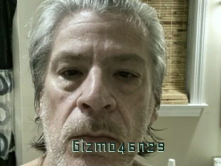 Gizmo46n29