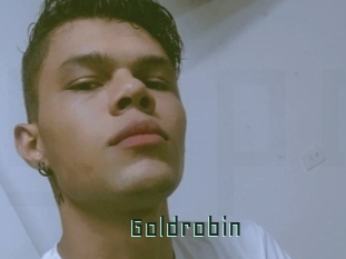 Goldrobin