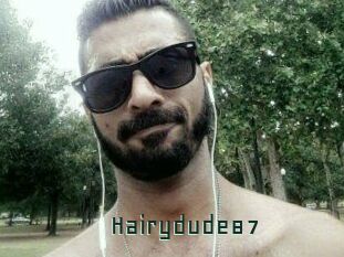Hairydude87