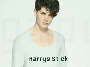 Harrys_Stick