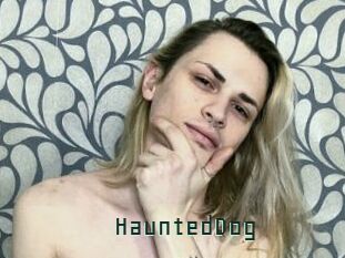 HauntedDog