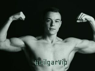 HeilgarVip