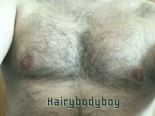 Hairybodyboy