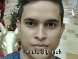 Harold_bigcock