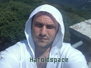 Haroldspace