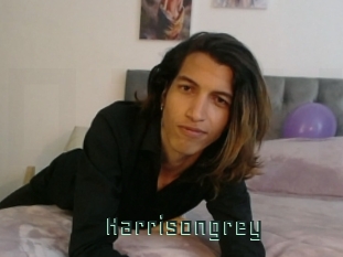 Harrisongrey