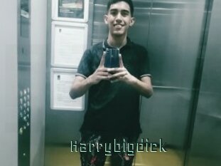 Harrybigdick